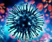 Influenza Season Begins In South Africa